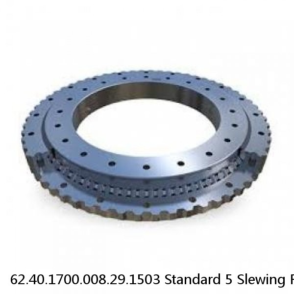 62.40.1700.008.29.1503 Standard 5 Slewing Ring Bearings #1 image