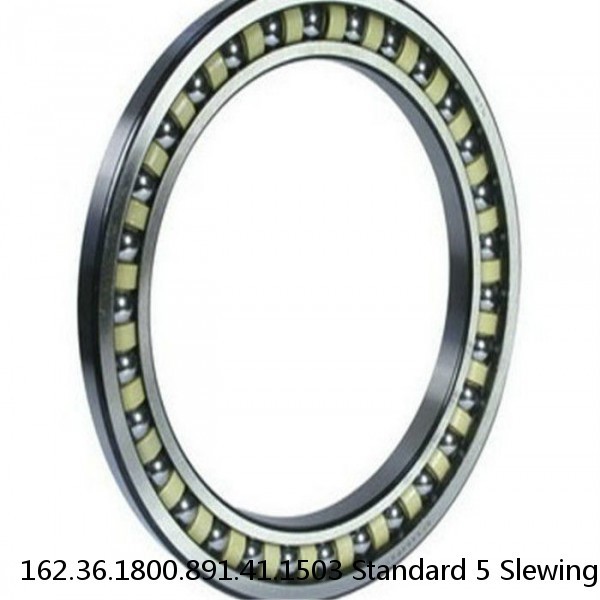 162.36.1800.891.41.1503 Standard 5 Slewing Ring Bearings #1 image