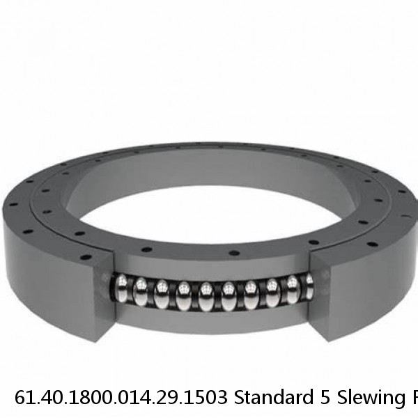 61.40.1800.014.29.1503 Standard 5 Slewing Ring Bearings #1 image