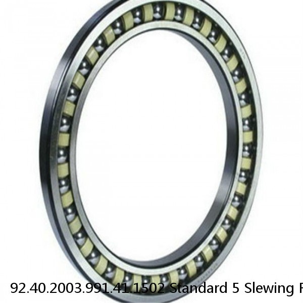 92.40.2003.991.41.1502 Standard 5 Slewing Ring Bearings #1 image