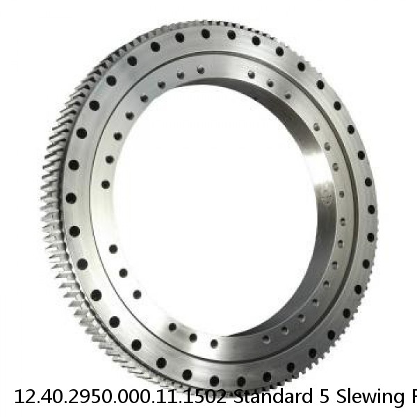 12.40.2950.000.11.1502 Standard 5 Slewing Ring Bearings #1 image