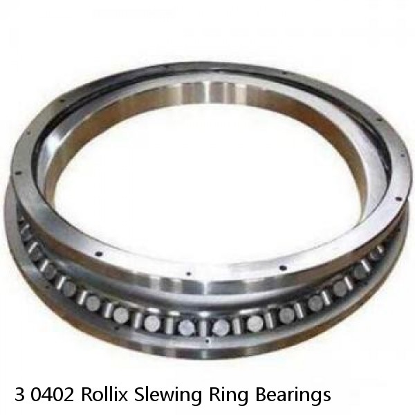 3 0402 Rollix Slewing Ring Bearings #1 image