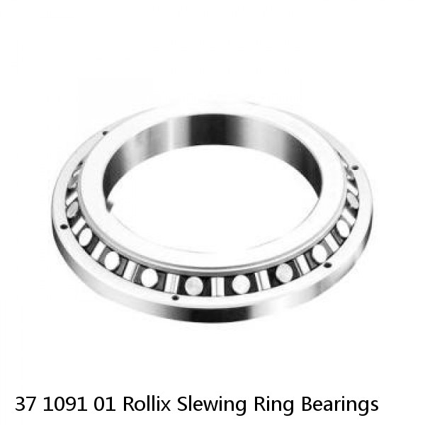 37 1091 01 Rollix Slewing Ring Bearings #1 image