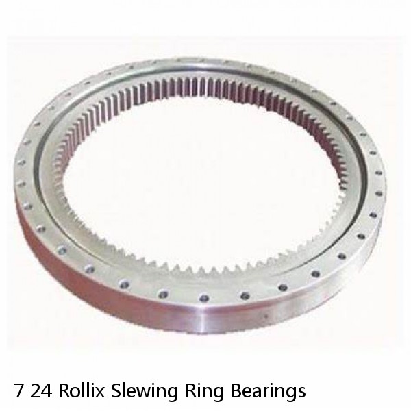 7 24 Rollix Slewing Ring Bearings #1 image