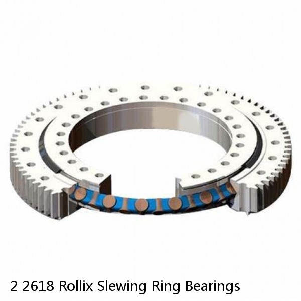 2 2618 Rollix Slewing Ring Bearings #1 image