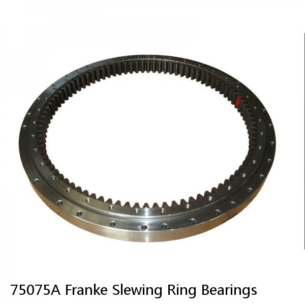 75075A Franke Slewing Ring Bearings #1 image