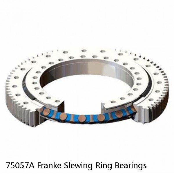 75057A Franke Slewing Ring Bearings #1 image