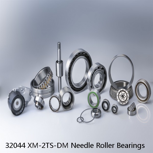 32044 XM-2TS-DM Needle Roller Bearings #1 image