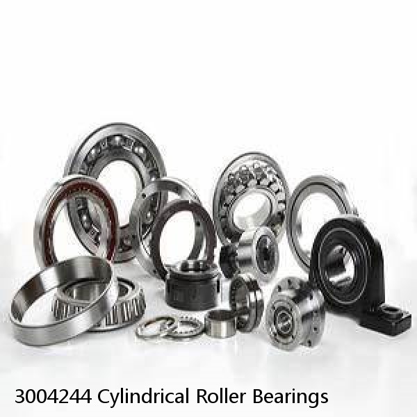 3004244 Cylindrical Roller Bearings #1 image